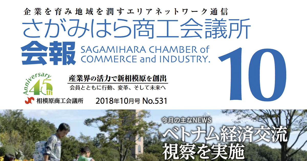 相模原 町田のホームページ制作 サイトリニューアル ウェブシステム開発 コウチヤ